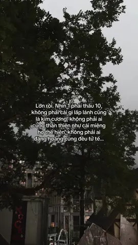 …#tamtrang #story 