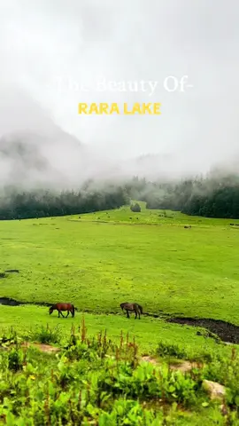#rara #raralake #mugu #nepal #karnali #raranationalpark 