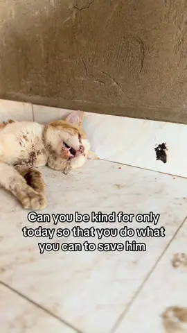 Can you be kind only for today so that our brother get his treatment kindly do what you can to save his life #fypシ゚ #foryoupage #fyp #funny #viral 