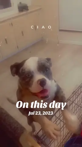 #onthisday 