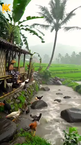 menikmati suasana tenang dan damai di kampung, #relaksasi #4knature #KakekDiSawah #relax #relaxingvideos #vibeshujan #pedesaan #SenjaDiSawah #HujanDiKampung #relaxing 