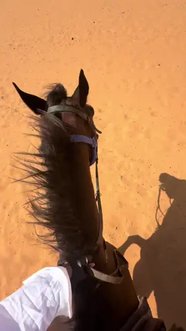 🤎