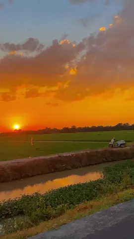 Asahan🌾🤏🌾🤏 #rawangpancaargakisaran #rawangpancaarga #kisaran #kisaranasahan #sawahviral #estetikcapcut #capcut #sawahpadi #sunset #viralvideo 
