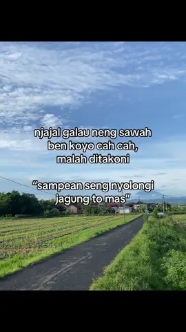 #serunyagayabareng #foryour #fypシ 