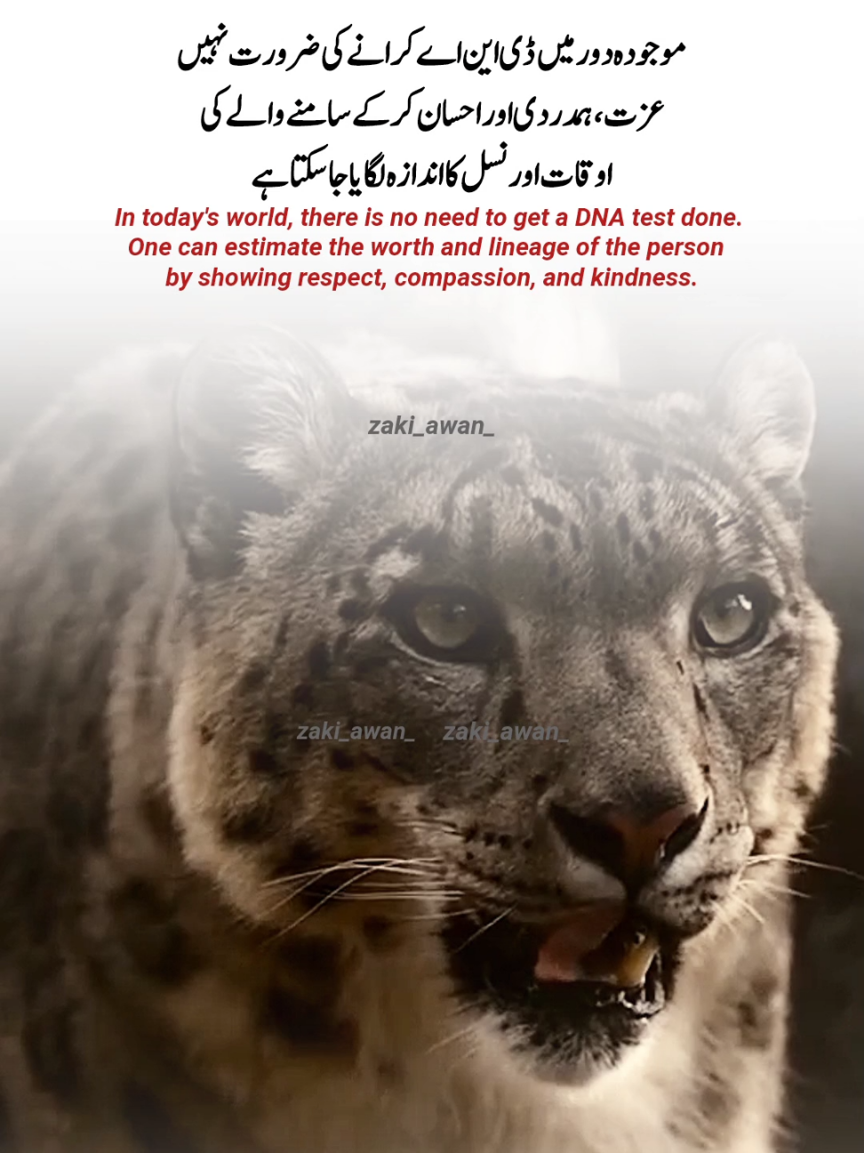 Because the first thing a hypocrite does is strike at someone who is kind to him. #creatorsearchinsights #fact #deeplines #respect #worth #lineage #support #dontunderreviewmyvideo #zaki_awan_ 