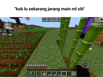 lagi sibuk bertani😁☝️@itz.nay.ra  #Minecraft #mojang #temen #mabar 