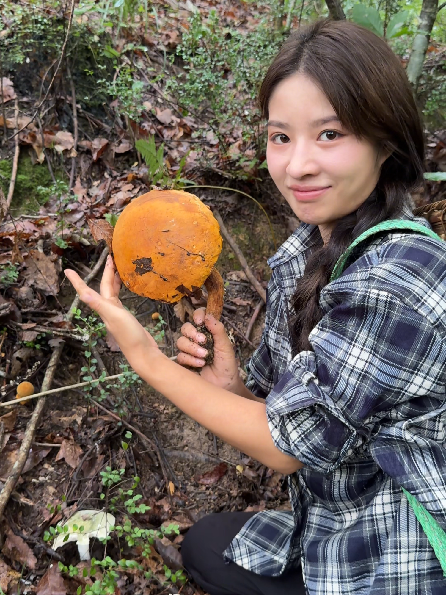 今天上山捡菌子 满满一大筐 你们帮我看看值多少钱  欢迎来抖音看阿梓直播 #阿梓不可爱 #乡村生活