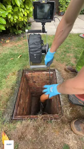 A blocked smelly blocked drain in this customer’s garden #clearingblockages #fyp #oddlysatisfying #blockage #dalrod  