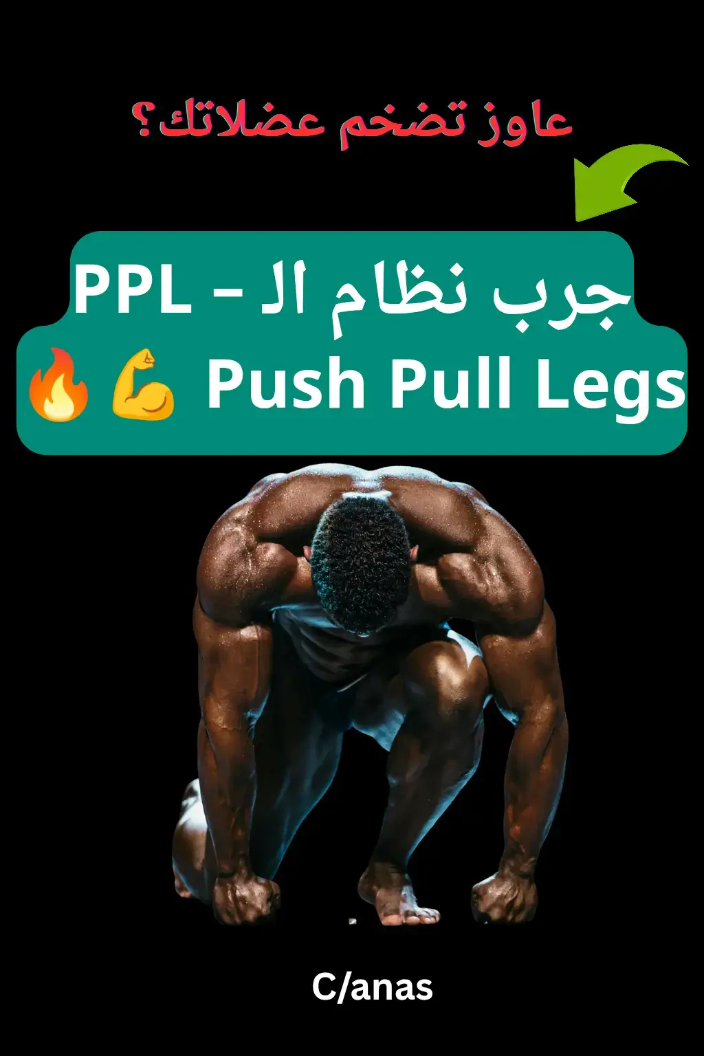 #تمارين #جيم #ضخامه #نظام_تمرين #fitnessarab #تمرين_جسمك #parati  