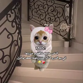 النسيان فضاعه🥹🎀 #الشعب_الصيني_ماله_حل😂✌️  #مالي_خلق_احط_هاشتاقات🦦  #لايكاتكم #fyp_pov_😍💙❣️ 