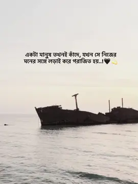 - একটা মানুষ তখনই কাঁদে, যখন সে নিজের মনের সঙ্গে লড়াই করে পরাজিত হয়..!🖤💫#_humaira_567 #foryou #foryoupage #unfrezzmyaccount 