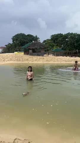 🦭: Bakit mo naman ako ampaligo 😡 kita mo na ngang nilalamig na ako. 🥶
