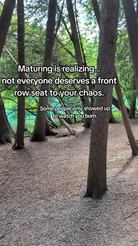 Maturing is realizing not everyone deserves access to you — especially not the ones who secretly enjoyed your breakdowns more than your breakthroughs. You don’t owe updates. You don’t owe peace to people who caused your storms. Let them wonder. Let them talk. You’re busy healing, unlearning, and making your kind of magic. 💅 #MaturingIsRealizing #BPDHealing #SoftGirlEraButWithSpice #BoundaryQueen #HealingOutLoud #MessyHealingEra #TikTokTherapy #RealOnesOnly #LetThemMissYou #CraftingThroughTheChaos