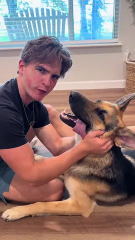 Weston told me to tell your dog thank you😉 #cayson #westin #dailyvlog #fyp #chaos #dog #germanshepherd #dogsoftiktok #germanshepherdsoftiktok #Lifestyle #fyp #Vlog #22 #fypシ 