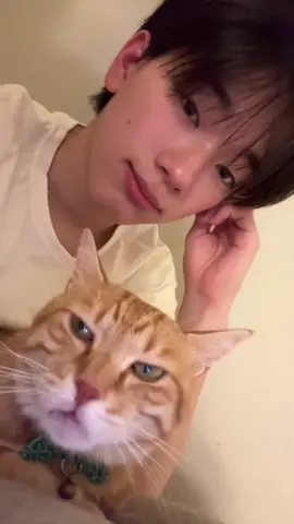 ig: cha_sehunn #korean #asian #fyp #viral #xybca #fürdich #cat 
