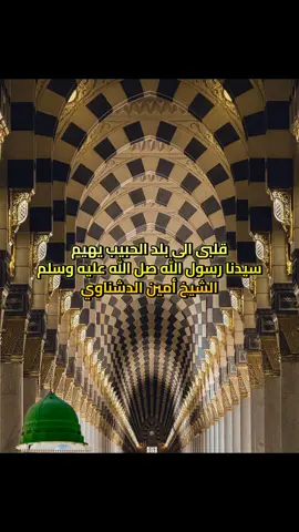 قلبى الى بلد الحبيب يهيم سيدنا رسول الله صل الله عليه وسلم الشيخ أمين الدشناوي #امين_الدشناوي #ريحانة_المداحين_الشيخ_آمين_الدشناوى💚🌿 #الدشناوى #انشاد #حضرة #قصايد #محمد_صلى_الله_عليه_وسلم  #النبى_محمد_عليه_افضل_الصلاة_و_السلام 