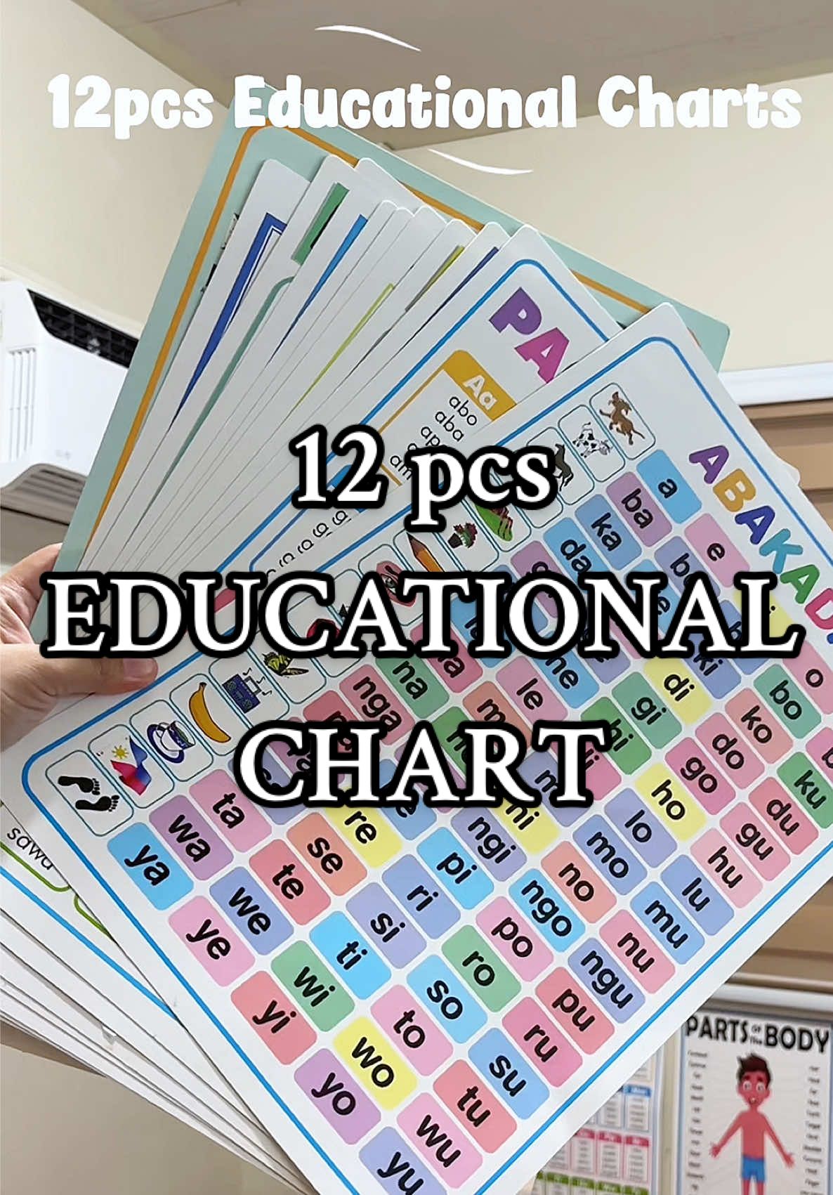12 pcs Educational chart for Kids sulit na! #educationalchart #educationalchartforkids #chart #fyp 