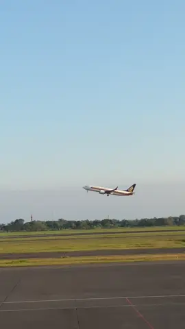 Singapore Airlines Takeoff #singaporeairline #sunset #fyp #masukberanda 