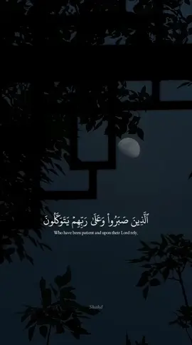 #قرآن_كريم_راحة_نفسية #اكتب_شئ_تؤجر_عليه #سورة_العنكبوت #بصوت_القارئ_عبد_الرحمن_مسعد 🖤🎧