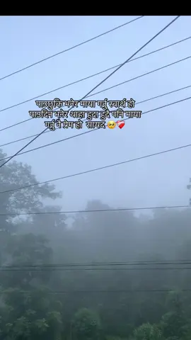 पाउछुकि भनेर माया गर्नु स्वार्थ हो पाउदिन भनेर थाहा हुदा हुदै पनि माया गर्नु नै प्रेम हो  सायद 🥺❤️‍🩹 #goviral #pleasesupportme #diary #penlovers #repost #5mviews #foryoupqgeシ #support_me #fyp 