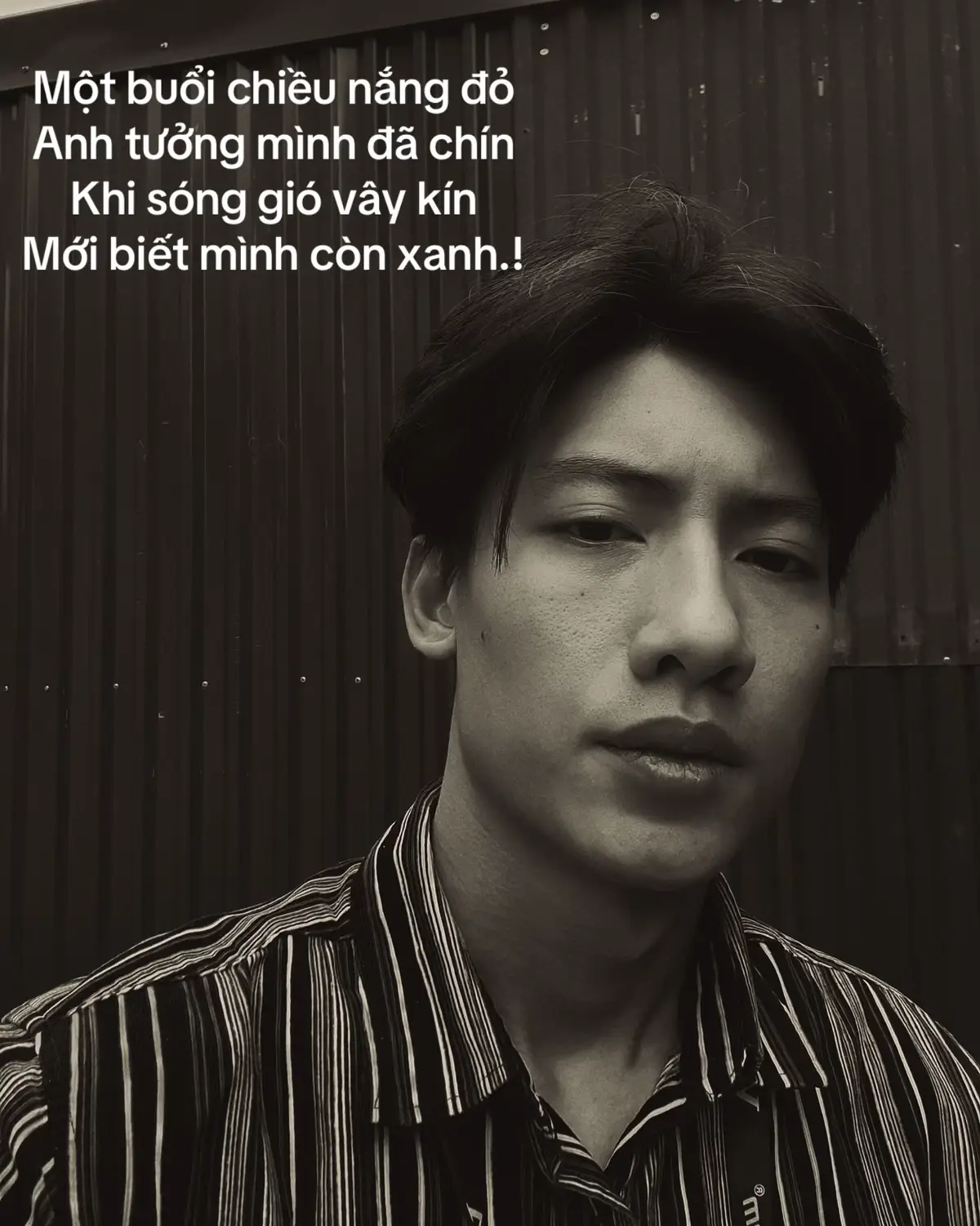 Chấp nhận thôi.