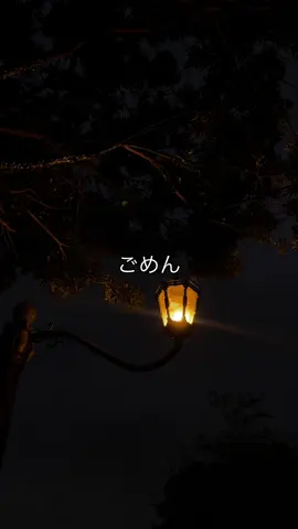 ごめんね #belajarbahasajepang #kerjadijepang #berandatiktok #fyp #japanese 