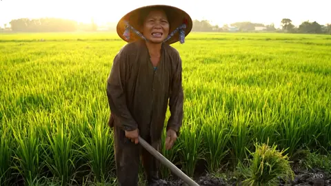 Cơn nợ mẹ 1 lời xin lỗi, kiếp này con k thể nói....Con nợ mje 1 cô vợ hiên, con nợ mẹ - đứa cháu ngoan #xuhuong #xuhuongtiktok #videoai #veo3 #amazing #haihuoc #cuoibebung 