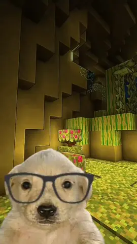 10k ya, gracias 🫂  #paratii #perrito #Minecraft #reflexion #triste #noche 