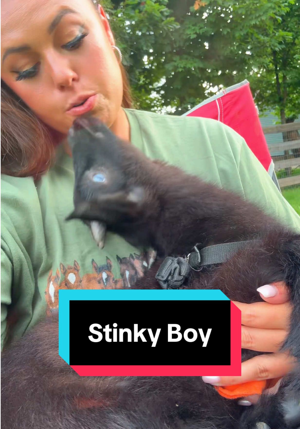 Stinky lovable buckling🐐💕 #buckling #nigeriandwarfgoats #minigoats #babygoats 