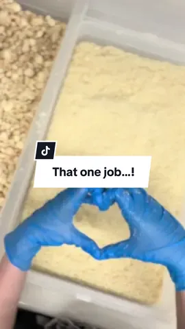 Puffin Poo™️ Pieces! That one job… 😅 Jolene showing us how it’s done! 🙌 #Puffinpoo #Puffin #Shetland #Shetlanddialect #Islandlife #scottishtiktok #IslandLarder #Scottish #SmallBusiness #Island 