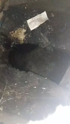 Какъ говорiтъ нынче молодѣжь: 