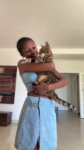 Maï Ethan la folle du bus part 638393  #drole  #anniversaire #maï #chat #chatdubengal #paris #france 
