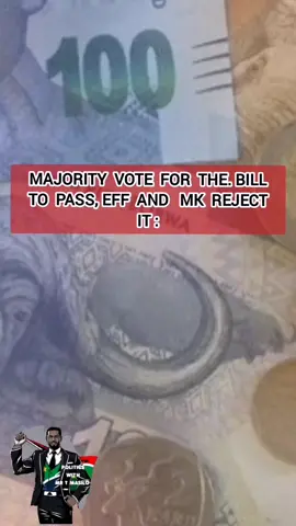 Members of parliament vote in favor of the Appropriation Bill #southafrica #politics #news #tiktoksa #tiktokpolitics #fyp #satiktok🇿🇦 