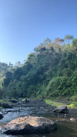 Kali dayung pas weekday😍 #jepara24jam #explorejepara #masukberandafyp #healing #fyp #morningvibes 