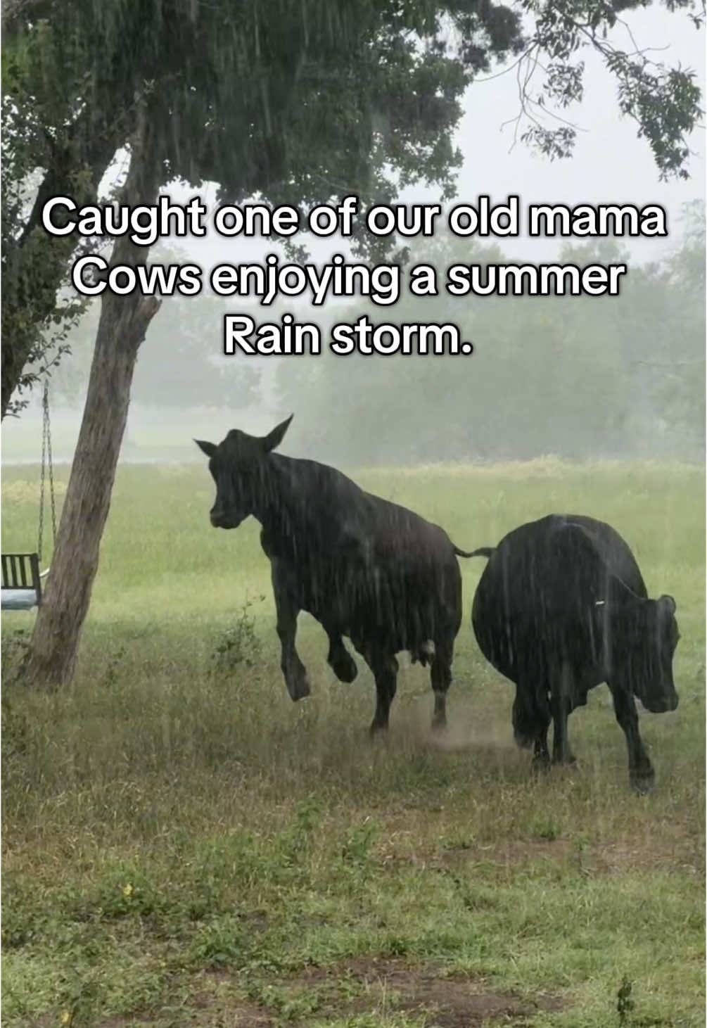 Just playing in the rain. 