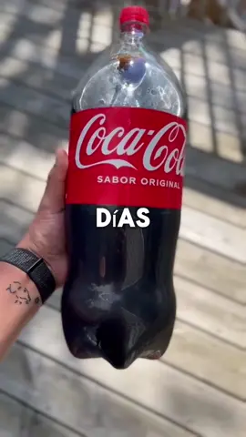 Esto es lo que le pasará a tu cuerpo si tomas coca cola todos los días durante 2 semanas 😱 #cocacola #gaseosa #bajarpeso #comida #salud #comidasaludable #consejosdesalud 