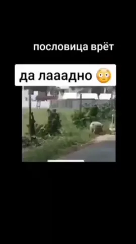 #ВэтотДень
