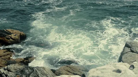 #maine #cinematography #ocean #aesthetic #Summer #edit #fypシ #nature #videography #foryoupage #cinematics #cinematographer #fyp #4u #films 