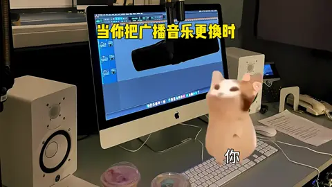 当你把广播音乐更换时.#猫meme#音乐分享