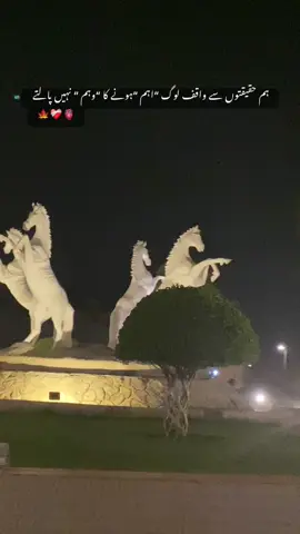 ہم حقیقتوں سے واقف لوگ اہم ہونے کا وہم نہیں پالتے 🥀🌾🍁🍂🫀👀❤️‍🩹🫥🖤