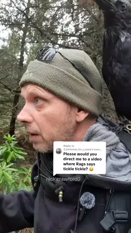 Replying to @3_bananas_for_a_euro 