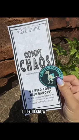 Computer chaos at Universal Studios! 10 escaped and are on the loose in the lower lot. #jurassicworldrebirth #jurassicworld @Universal Studios Hollywood #universalstudios #atuniversal #LIVEIncentiveProgram #LIVEStory #PaidPartnership 