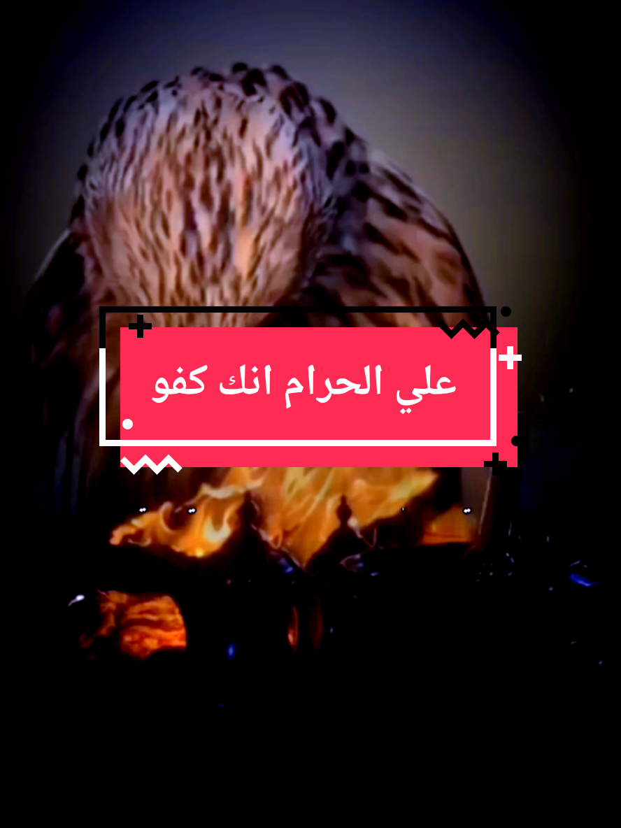 علي الحرام انك كفو #قصيد #شعر #ابيات_شعر #قصيده_شعر_بوح_كلام_من_ذهب #قصيده_شعر #حروف مبعثرة @الصقر 