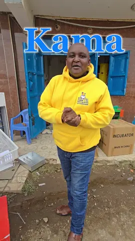 Dispatching a 528 egg incubator to its new owner. This July (7 days to go) we're offering gifts with the purchase of any egg incubator; these gifts can include: feeders, drinkers, a backup generator, merchandise, or brooding bulbs. Contact us on 0710 905 696 to order an egg incubator. any capacity from 64 eggs to 5,280 eggs We do free deliveries countrywide, whereby you can pay upon receiving your incubator. We're located in Nairobi, along Outer-ring road, Kariobangi. You can pay us a visit and receive free consultation. Directions to our office are in the pinned posts above #karibu #foryou #fyp #eggincubators #incubator #poultry #hatcher #ecokuku #chickenfarm #nairobi #kilimo
