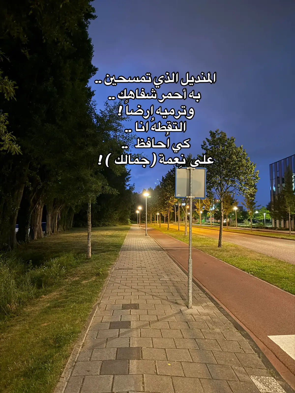 #قصائد #نصوص #شعر #متابعه_ولايك_واكسبلور_احبكم #fyp #furyou #ادب_عربي 