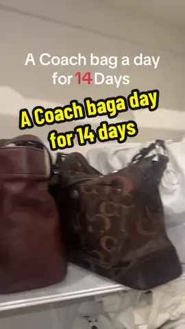 A Coach bag a day for 4 days #day8 #coach @Coach #coachgirlie #coachlover #fyp #coachmadison #latina 