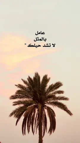عامل بالمثل لاا تشد حيلک