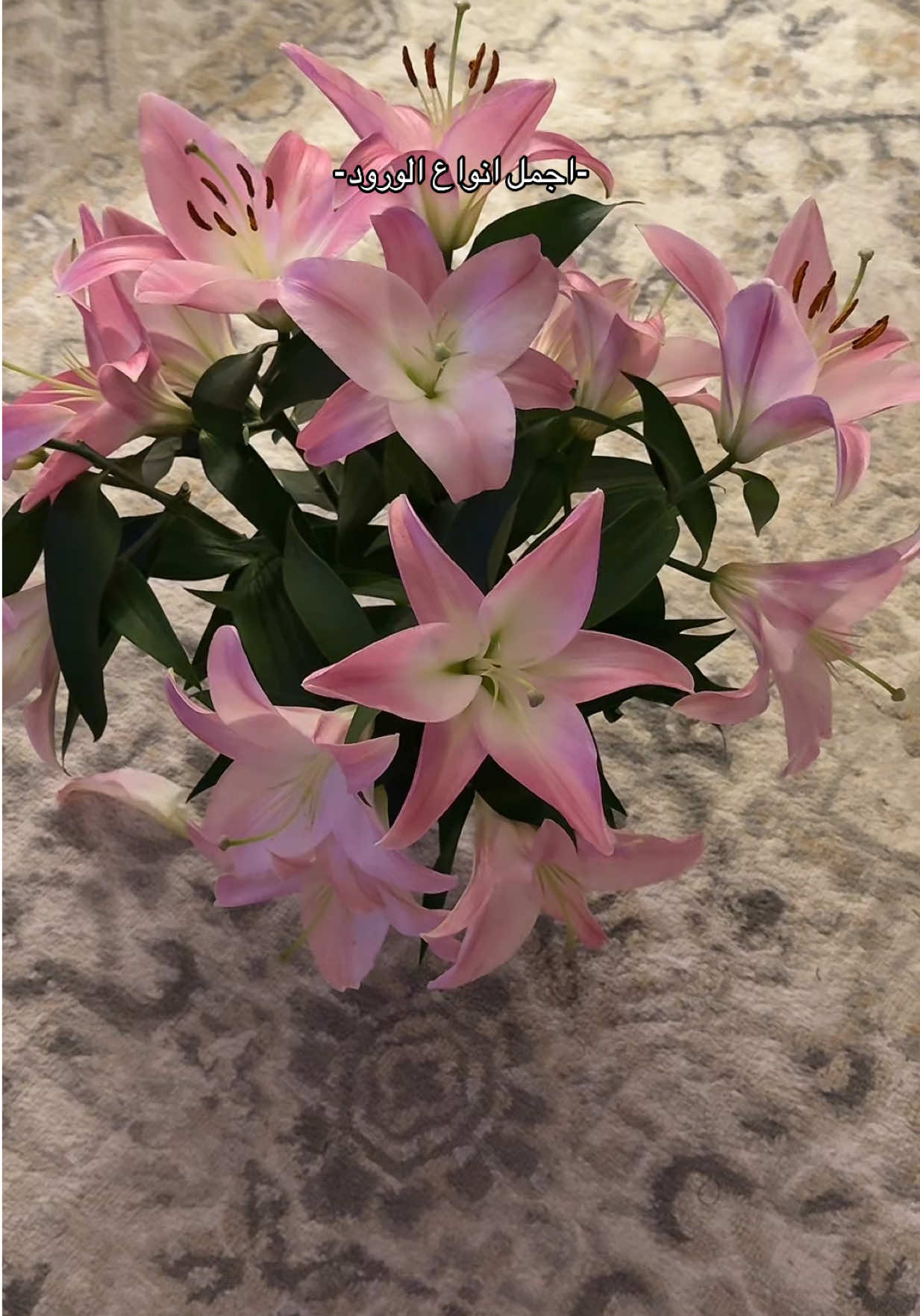 🌸💕 #fyp #ليليوم #ورد 
