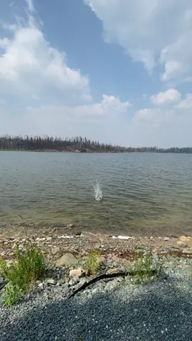 All burned #canada_life🇨🇦 #denarebeach #water @A😪 