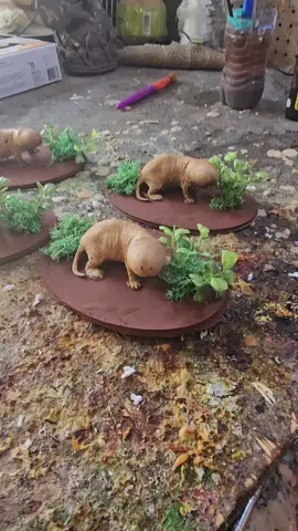 naked mole rats headed out! #darkseedcreations #fyp #odditytok #molerat 